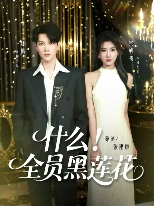 什么全员黑莲花(全集)