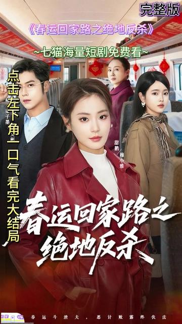 春运回家路之绝地反杀(全集)